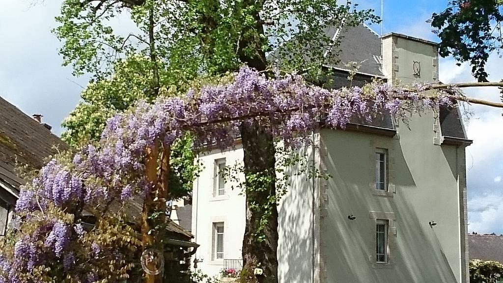 Chateau Bily B&B Hotel La Chèze Esterno foto